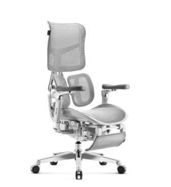 DIABLO CHAIRS Fotel gamingowy DIABLO BRAVE V-kinetic szary