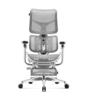 DIABLO CHAIRS Fotel gamingowy DIABLO BRAVE V-kinetic szary
