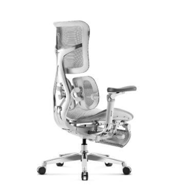 DIABLO CHAIRS Fotel gamingowy DIABLO BRAVE V-kinetic szary