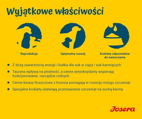 JOSERA JOSERA Family Plus ciąża,laktacja,szczeniaki 12,5kg JOSERA JOSERA Family Plus ciąża,laktacja,szczeniaki 12,5kg