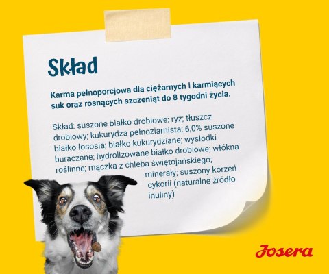 JOSERA JOSERA Family Plus ciąża,laktacja,szczeniaki 12,5kg JOSERA JOSERA Family Plus ciąża,laktacja,szczeniaki 12,5kg