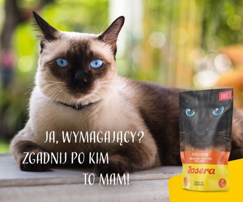 JOSERA JOSERA Filet kurczak - mokra karma dla kota - 70 g JOSERA JOSERA Filet kurczak - mokra karma dla kota - 70 g