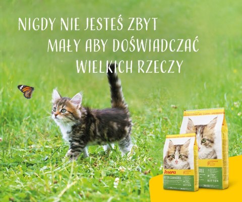 JOSERA JOSERA Kitten grainfree - sucha karma dla kota - 400g JOSERA JOSERA Kitten grainfree - sucha karma dla kota - 400g