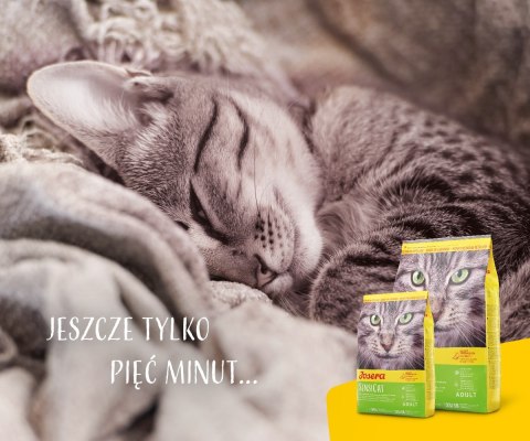 JOSERA JOSERA SensiCat - sucha karma dla kota 10 kg JOSERA JOSERA SensiCat - sucha karma dla kota 10 kg
