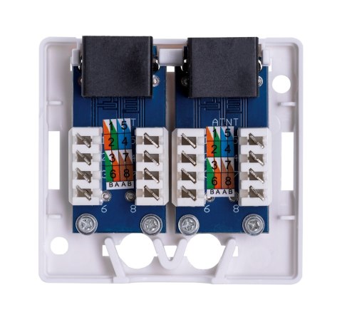 Lanberg Gniazdo natynkowe Lanberg OU6-0002-W (RJ-45; UTP; kolor biały) Lanberg Gniazdo natynkowe Lanberg OU6-0002-W (RJ-45; UTP; kolor biały)