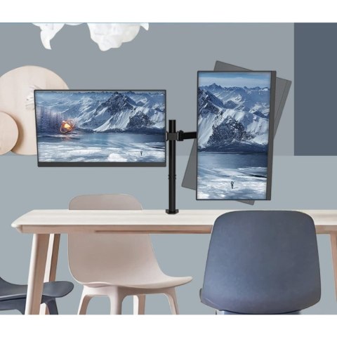 TECHly TECHLY PODWÓJNY UCHWYT BIURKOWY LED/LCD 13-27 CALI