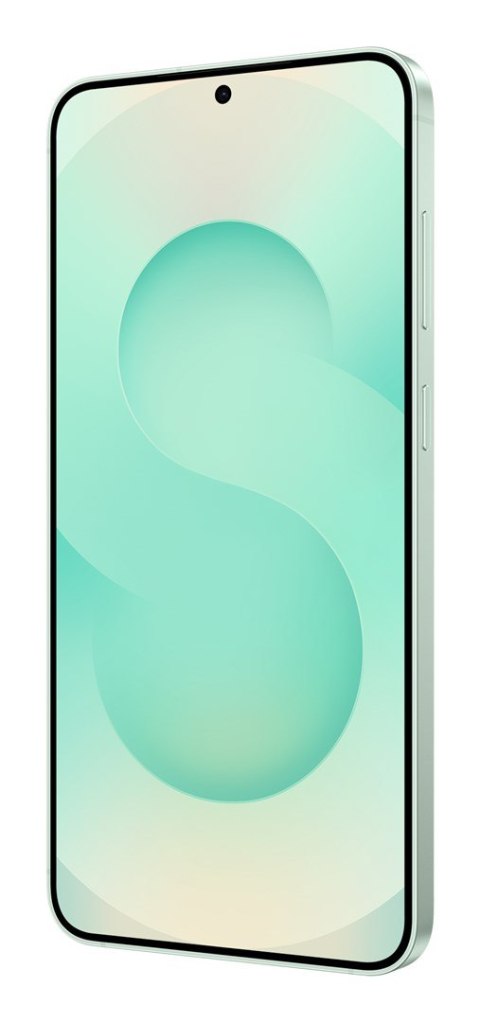 Samsung Samsung Galaxy S25+(S936) DS 5G 12/512GB Mint