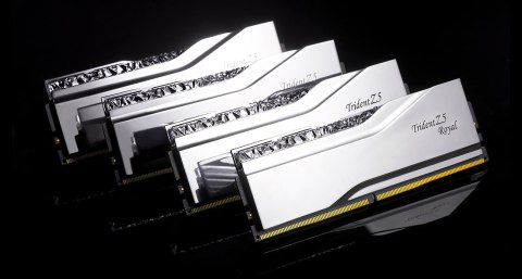 G.SKILL G.SKILL TRIDENT Z5 ROYAL RGB DDR5 2X24GB 8400MHZ CL40 SILVER F5-8400J4052G24GX2-TR5S G.SKILL G.SKILL TRIDENT Z5 ROYAL RGB DDR5 2X24GB 8400MHZ CL40 SILVER F5-8400J4052G24GX2-TR5S
