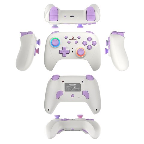 ANBERNIC Gamepad ANBERNIC P01 Beige White