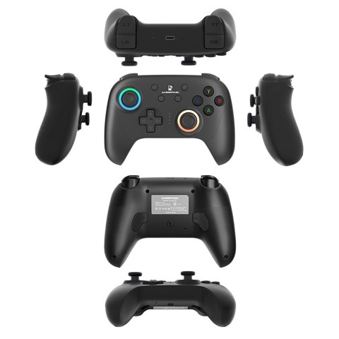 ANBERNIC Gamepad ANBERNIC P01 Black