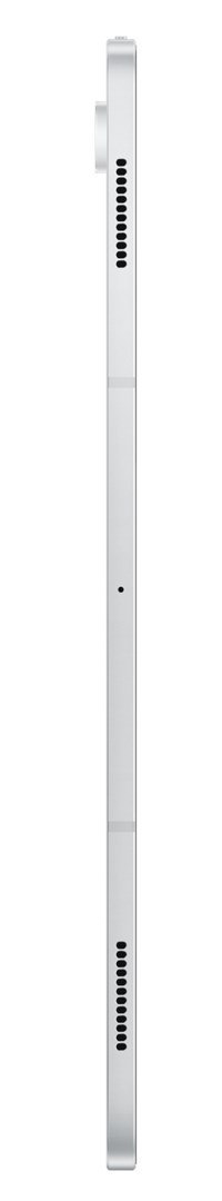 Samsung Samsung Galaxy Tab S10 Ultra (X920) WiFi 12/256GB Silver (WYPRZEDAŻ)