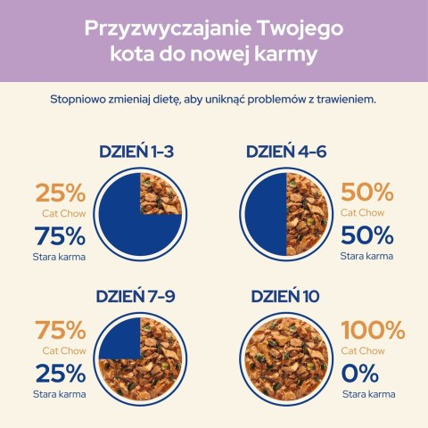 PURINA NESTLE Purina Cat Chow Sensitive z łososiem i cukinią w sosie - mokra karma dla kota - 85 g