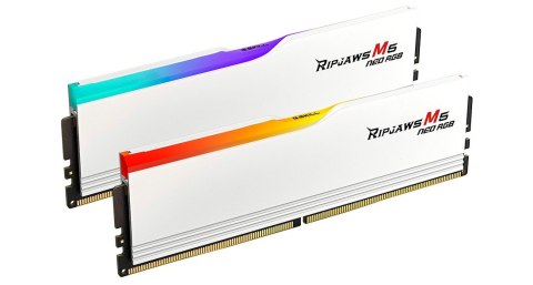 G.SKILL G.SKILL TRIDENT NEO AMD DDR5 2X32GB 6000MHZ CL36-36 WHITE F5-6000J3636F32GX2-RM5NRW G.SKILL G.SKILL TRIDENT NEO AMD DDR5 2X32GB 6000MHZ CL36-36 WHITE F5-6000J3636F32GX2-RM5NRW