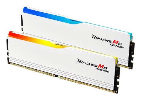 G.SKILL G.SKILL TRIDENT NEO AMD DDR5 2X32GB 6000MHZ CL36-36 WHITE F5-6000J3636F32GX2-RM5NRW G.SKILL G.SKILL TRIDENT NEO AMD DDR5 2X32GB 6000MHZ CL36-36 WHITE F5-6000J3636F32GX2-RM5NRW