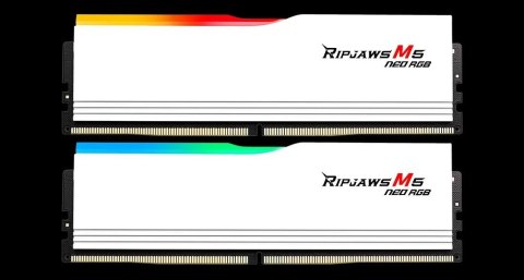 G.SKILL G.SKILL TRIDENT NEO AMD DDR5 2X32GB 6000MHZ CL36-36 WHITE F5-6000J3636F32GX2-RM5NRW G.SKILL G.SKILL TRIDENT NEO AMD DDR5 2X32GB 6000MHZ CL36-36 WHITE F5-6000J3636F32GX2-RM5NRW