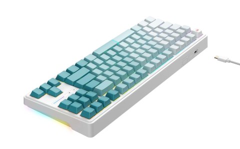 HAVIT Klawiatura gamingowa Havit KB901L (biało-zielony) HAVIT Klawiatura gamingowa Havit KB901L (biało-zielony)