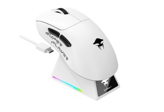 HAVIT Mysz gamingowa bezprzewodowa Havit StarBlaze-1 (biało-czarny)