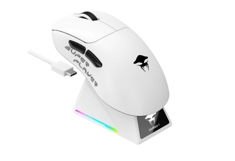 HAVIT Mysz gamingowa bezprzewodowa Havit StarBlaze-1 (biało-czarny) HAVIT Mysz gamingowa bezprzewodowa Havit StarBlaze-1 (biało-czarny)