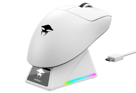 HAVIT Mysz gamingowa bezprzewodowa Havit StarBlaze-1 (biało-czarny) HAVIT Mysz gamingowa bezprzewodowa Havit StarBlaze-1 (biało-czarny)