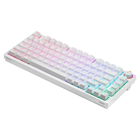 SAVIO SAVIO KLAWIATURA MECHANICZNA BEZPRZEWODOWA PHENIX WHITE GATERON RED PRO ABS SAVIO SAVIO KLAWIATURA MECHANICZNA BEZPRZEWODOWA PHENIX WHITE GATERON RED PRO ABS