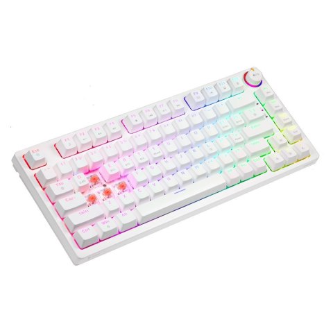 SAVIO SAVIO KLAWIATURA MECHANICZNA BEZPRZEWODOWA PHENIX WHITE GATERON RED PRO ABS SAVIO SAVIO KLAWIATURA MECHANICZNA BEZPRZEWODOWA PHENIX WHITE GATERON RED PRO ABS