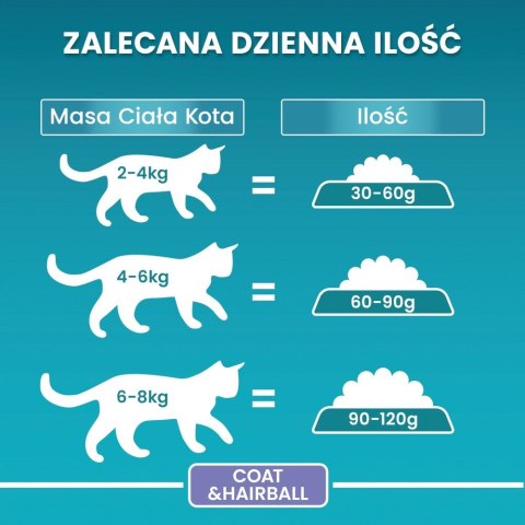PURINA NESTLE PURINA One Bifensis Coat & Hairball Kurczak - sucha karma dla kota - 800 g