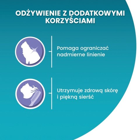 PURINA NESTLE PURINA One Bifensis Coat & Hairball Kurczak - sucha karma dla kota - 800 g