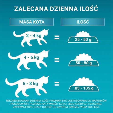 PURINA NESTLE PURINA One Bifensis Senior 7+ Bogata w Kurczaka i Pełne Ziarna - sucha karma dla kota - 800 g