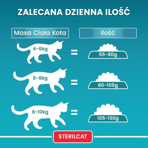 PURINA NESTLE PURINA One Bifensis Sterilcat Wołowina - sucha karma dla kota - 800 g