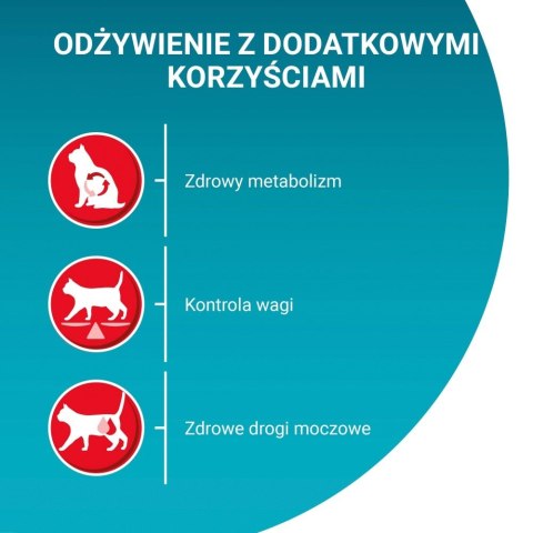 PURINA NESTLE PURINA One Bifensis Sterilcat Wołowina - sucha karma dla kota - 800 g