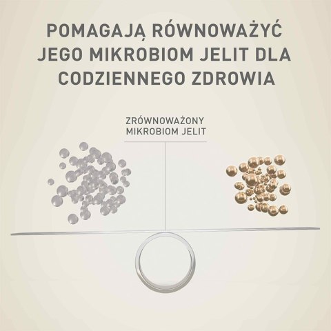 PURINA NESTLE PURINA One Mini Adult Wołowina, ryż - sucha karma dla psa - 800 g
