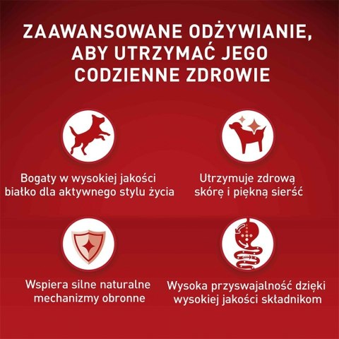 PURINA NESTLE PURINA One Mini Adult Wołowina, ryż - sucha karma dla psa - 800 g