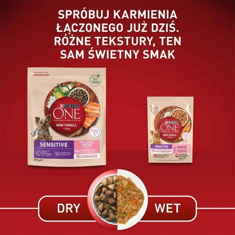 PURINA NESTLE PURINA One Mini/Small Sensitive Łosoś, ryż - sucha karma dla psa - 800 g