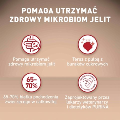 PURINA NESTLE PURINA One Mini/Small Sensitive Łosoś, ryż - sucha karma dla psa - 800 g