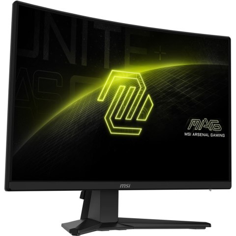 MSI Monitor MAG 242C