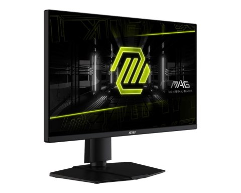 MSI Monitor MAG 255PXF