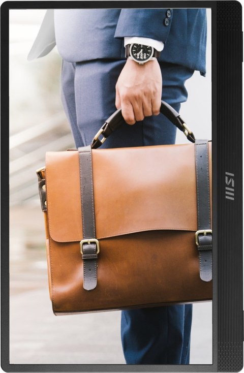 MSI Monitor MSI PRO MP161 E2U