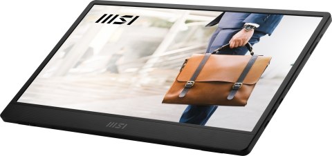 MSI Monitor MSI PRO MP161 E2U